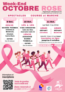 Affiche Octobre Rose 2026 FINALE