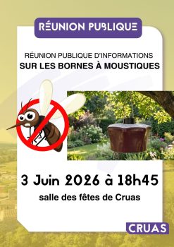 achat-groupe-bornes-moustiques-ccas-cruas