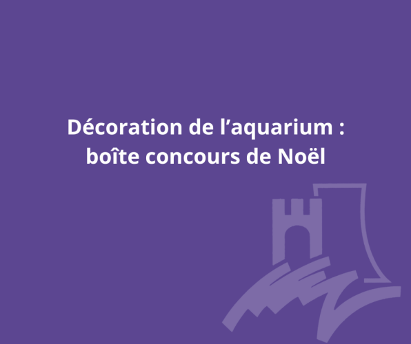 cme-decoration-aquarium